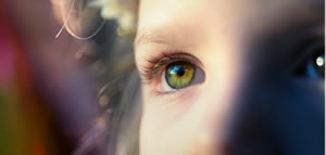 Psicologo forense credibilidad testimonio infantil 